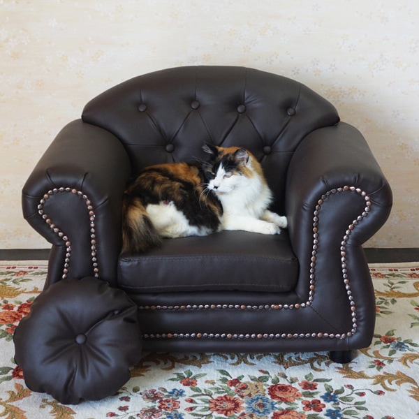 ̵ Ҷѥե ץ󥻥 1ͳݤ 󥰥֥饦 ɱ ɡ 