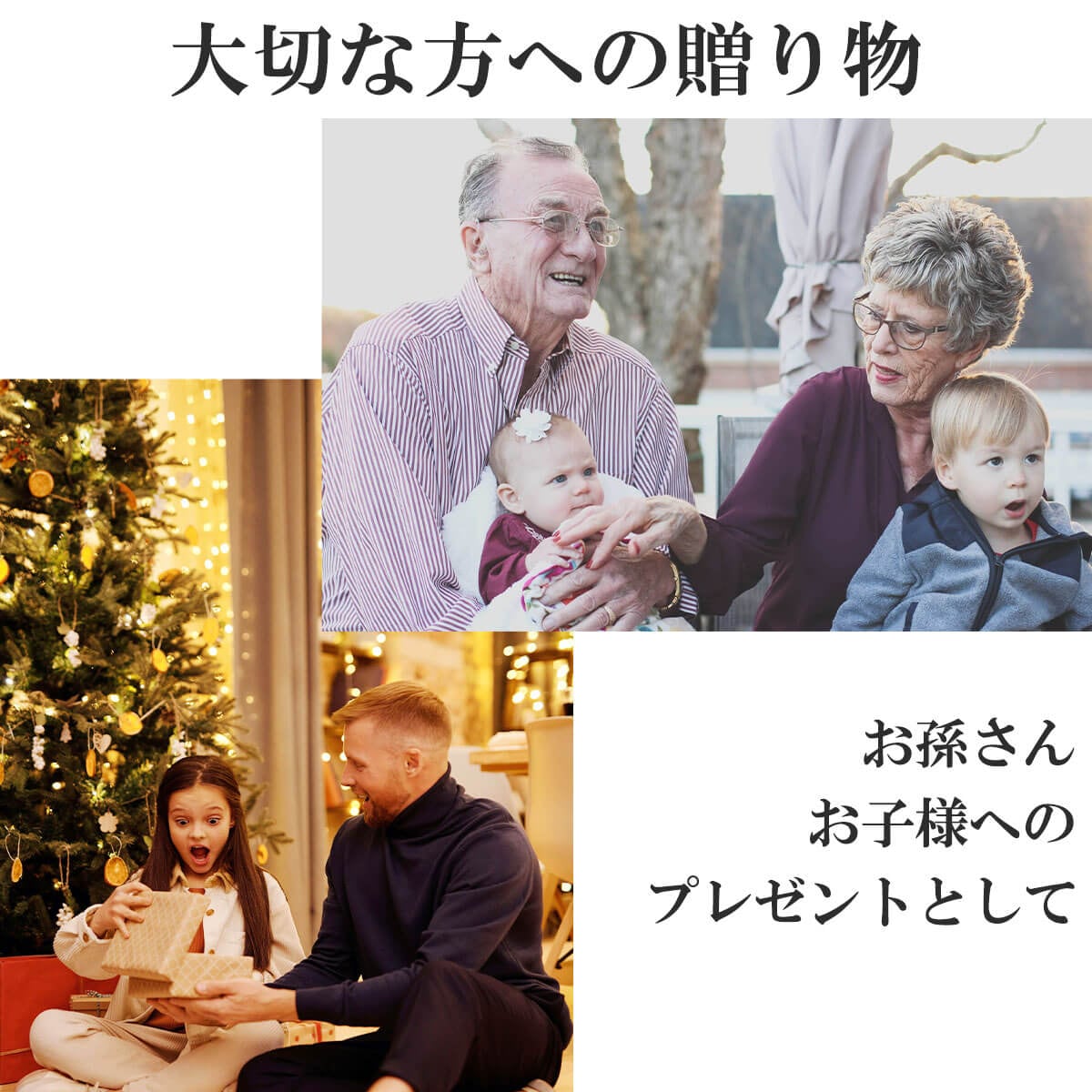 ̵ Ҷѥե ץ󥻥 1ͳݤ 󥰥֥饦 ɱ ɡ 