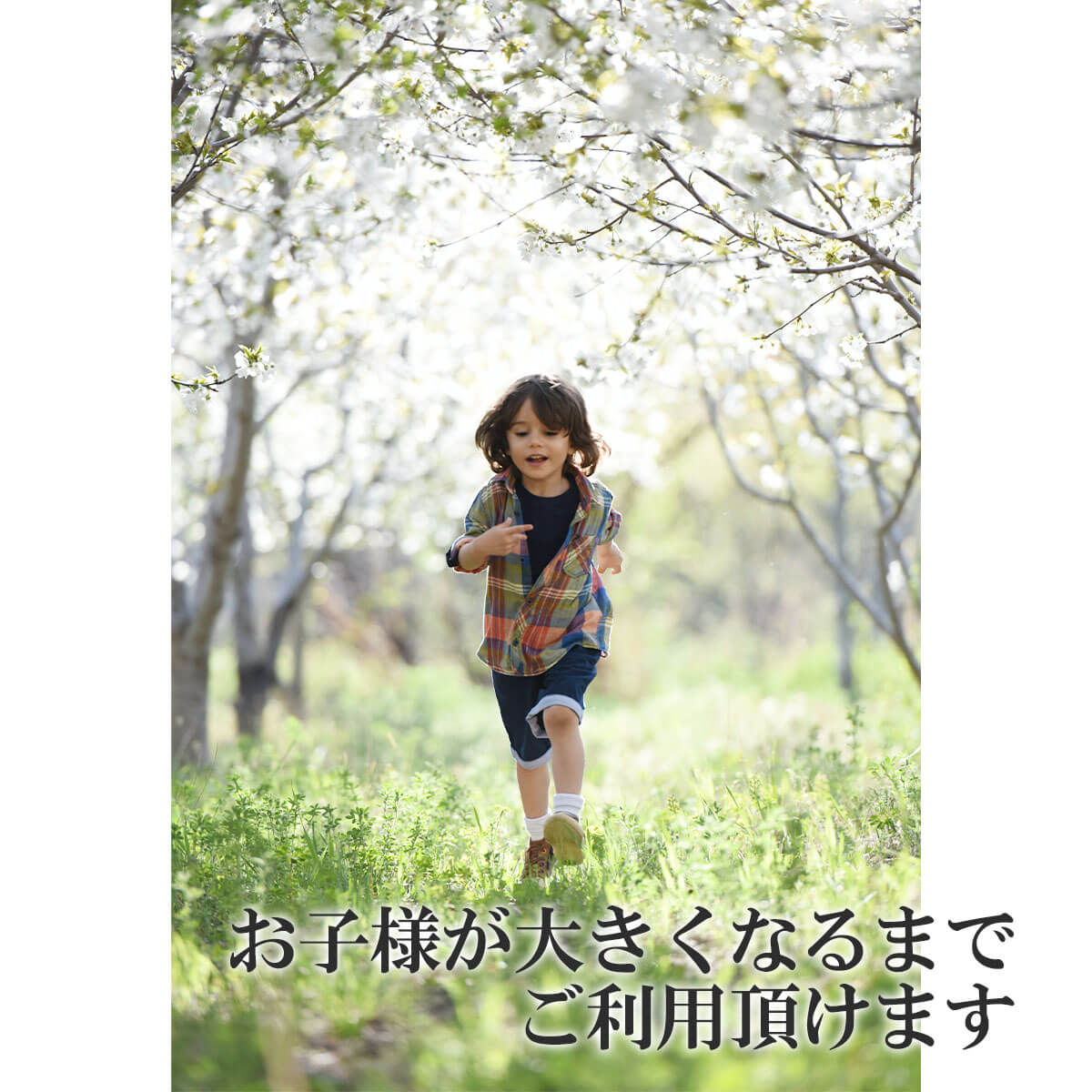 ̵ Ҷѥե ץ󥻥 1ͳݤ 󥰥֥饦 ɱ ɡ 