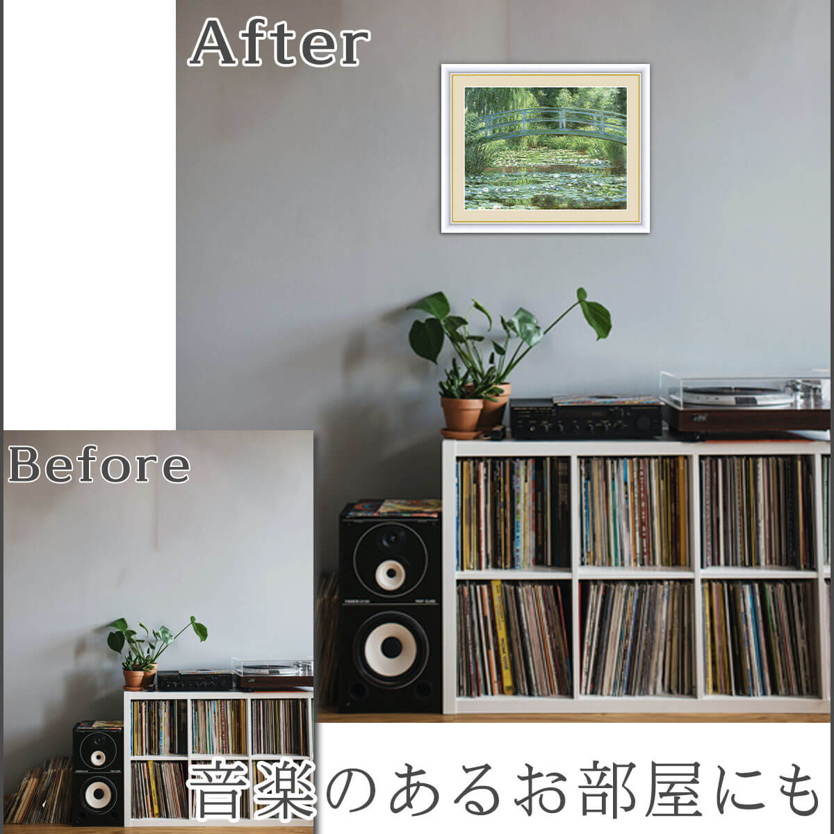  ̵   ۳ ̾  Monet ϡӤܤζ ץꥫ 俧 ƥꥢ ɳݤ     ƥ  ̲ ʲ ʪ 골 ץ쥼 뤤