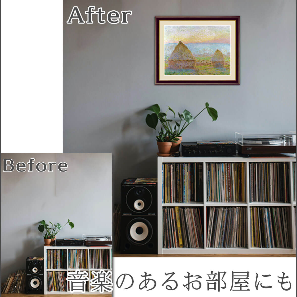  ̵   ۳ ̾  Monet ˡѤΡͼ ץꥫ 俧 ƥꥢ ɳݤ     ƥ  ̲ ʲ ʪ 골 ץ쥼 뤤