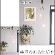 �� ����̵�� �� ���� �۳� ̾�� ��Υ�� Renoir �ԥ��Τ˴�뾯������ ��ץꥫ ����俧 ����ƥꥢ �ɳݤ� �� ������ ���� �������� ����ƥ����� ������� �̲� ���ʲ� ��ʪ�� ���골 �ץ쥼��� ���뤤