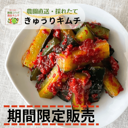 農園コラボ☆きゅうりキムチ 限定販売キムチ 【春夏限定　厳選きゅうり使用】（冷凍商品と同梱不可）