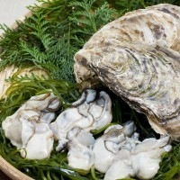 【再入荷】牡蠣キムチ【冷凍】(冷蔵と同梱不可)