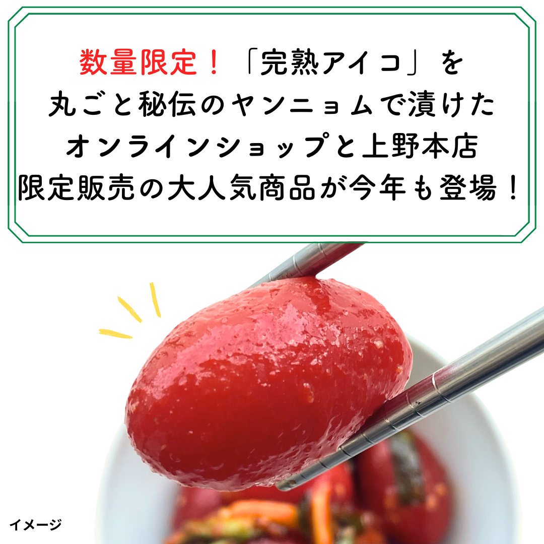 【2026年販売開始】トマトキムチ【キムチソムリエ特製】
