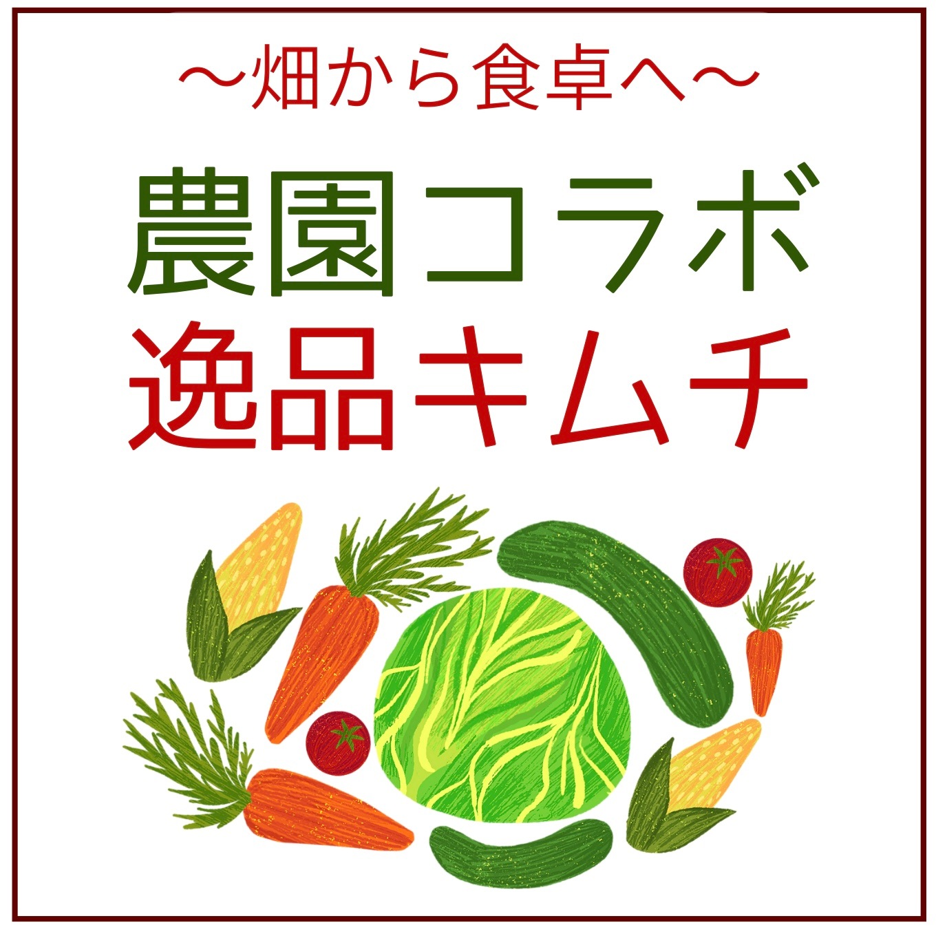 農園コラボ☆白(ペク)キムチ　数量限定キムチ【千葉県産オレンジクイーン使用】唐辛子不使用