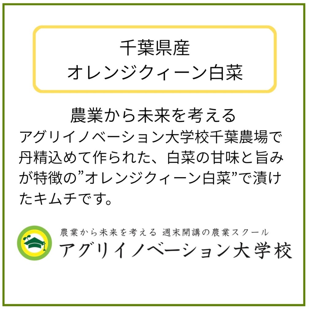 農園コラボ☆白菜キムチ　数量限定キムチ【千葉県産オレンジクイーン使用】