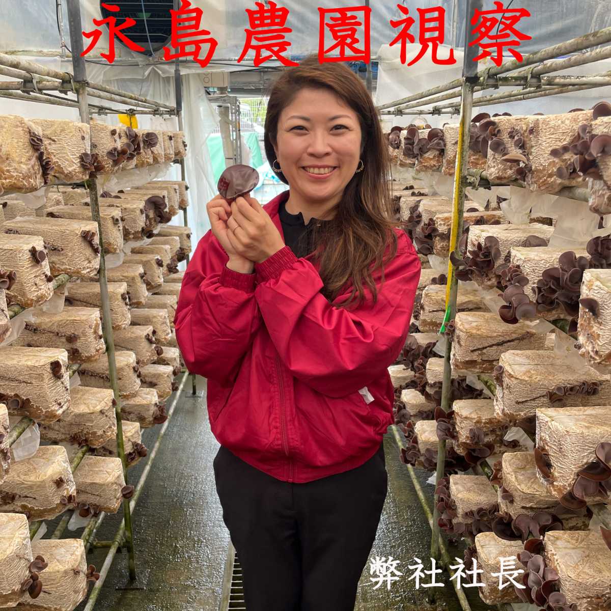 黒きくらげ薬味醤油漬け(国産)［冷凍］