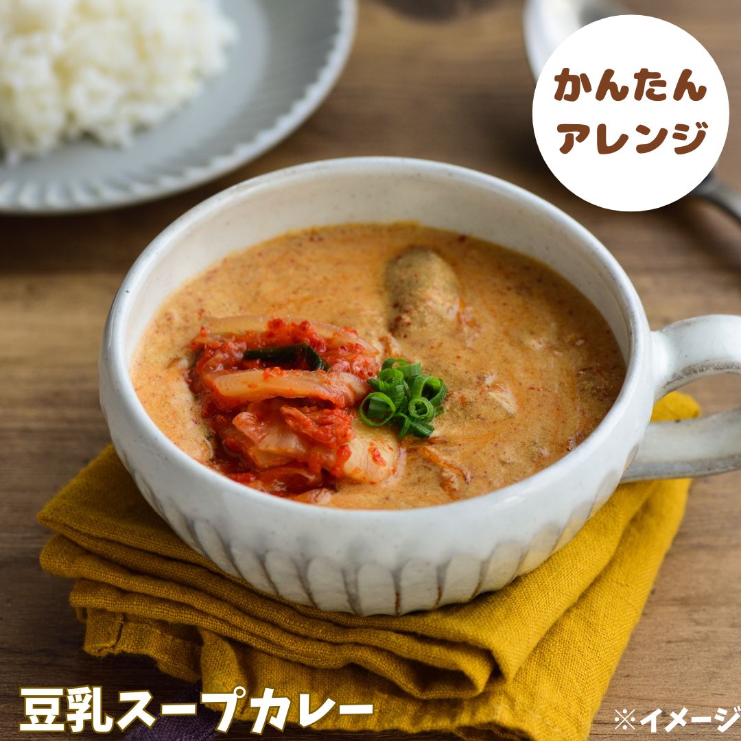 発酵キムチカレー【割引キャンペーン】