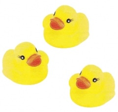 �����ѥ���饯�����������ۤ����������ҥ�ھ��ۡ���100������