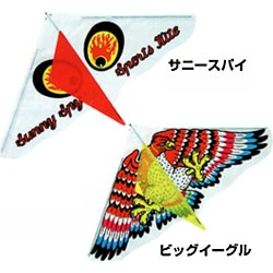 SALE】【卸価格】スポーツカイト LLサイズ 2枚セット | なつかし