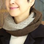 �䥯100�� ���֥륹�̡��ɡʥ֥饦������졼��