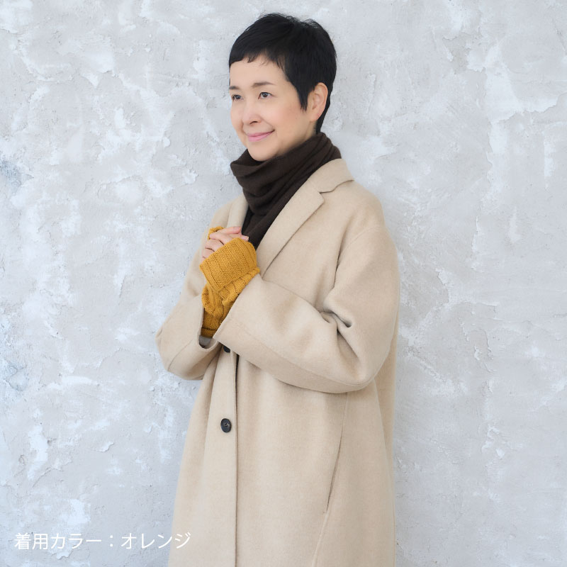 ѥ100 ०ޡ Ԥߡʥ꡼