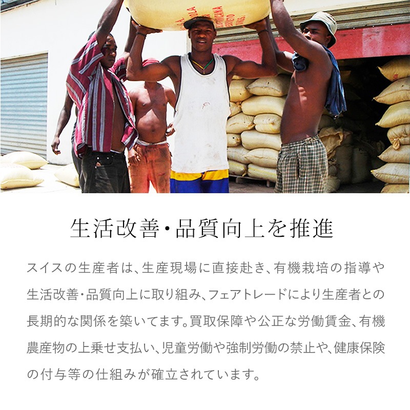 �ե����ȥ졼�� �����륰�쥤���祳�ߤ���ߡ�45g���ڥ������˥å����祳�졼�ȡۡ��������Ի��ѡۡ��ߵ������