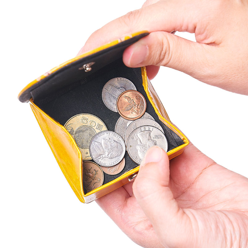 山羊革 アニマルコインパース カエル（12個入り） | 第3世界ショップ