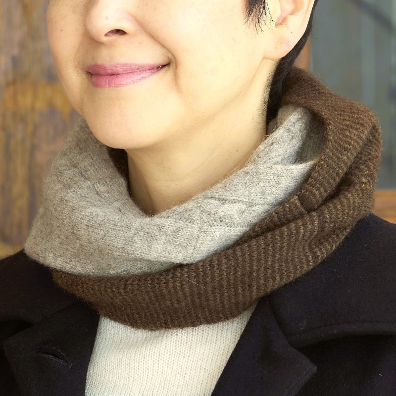 �䥯100�� ���֥륹�̡��ɡʥ֥饦������졼��