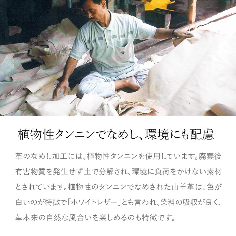 ���ӳ� �����ɤ����뾮������ �饤���祦�ʥ��꡼���