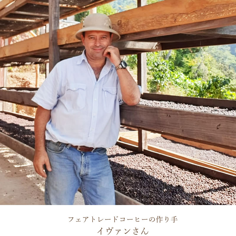 �ե����ȥ졼�� �ѥ����֥�󥳥����ҡ���ʴ�ˡ�150g���濼���� ���ڥ������˥å� ͭ�����ݡۡڥ����ƥޥ�COE���ޡۡڼ�Ŧ�ߡ�ŷ�������