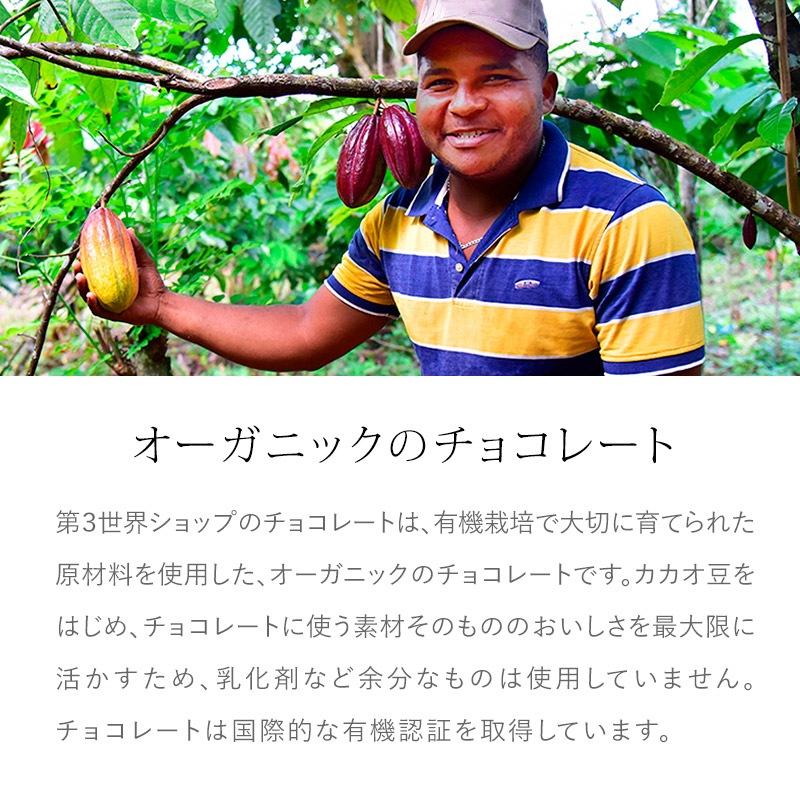 Artisan ������BOX �ե����ȥ졼�ɥߥ륯���祳�졼�ȡʥǥ��쥯��������åȡ� 44g��5.5��ߣ��ġ�