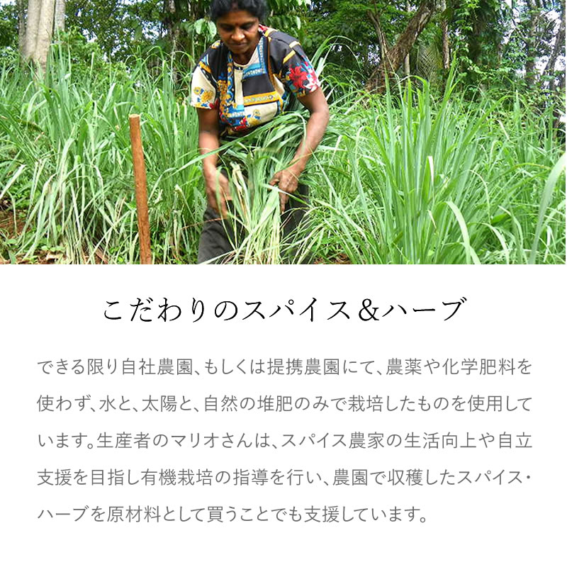 ���졼���䡡�ܳʻݿɥ���ե� 60g�����ܳʥ����󥫥��졼�����륫�졼�ڡ����ȡۡ�ưʪ������������¸��������ʴ�Ի��ѡۡڥ���ƥ�ե꡼��