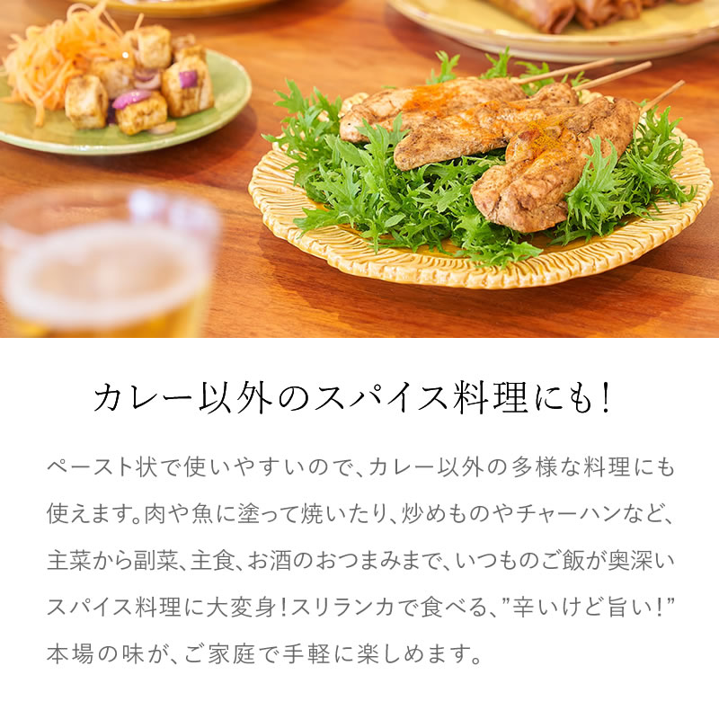 ���졼���䡡�ܳʻݿɥ���ե� 60g�����ܳʥ����󥫥��졼�����륫�졼�ڡ����ȡۡ�ưʪ������������¸��������ʴ�Ի��ѡۡڥ���ƥ�ե꡼��