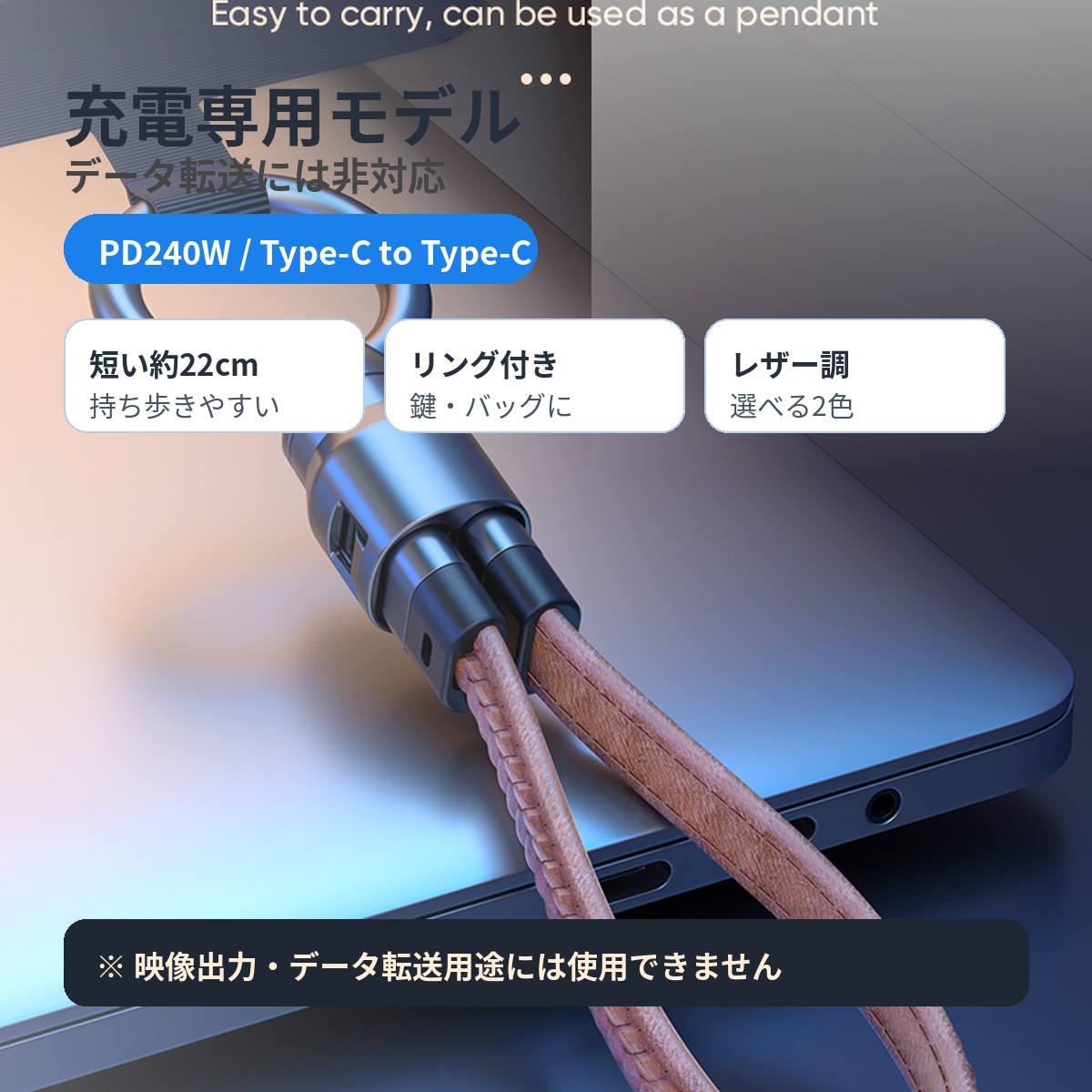 PD240W対応 Type-C レザー ストラップ 充電ケーブル｜短い CtoC 充電専用ケーブル キーホルダー DTC-STP-LTH