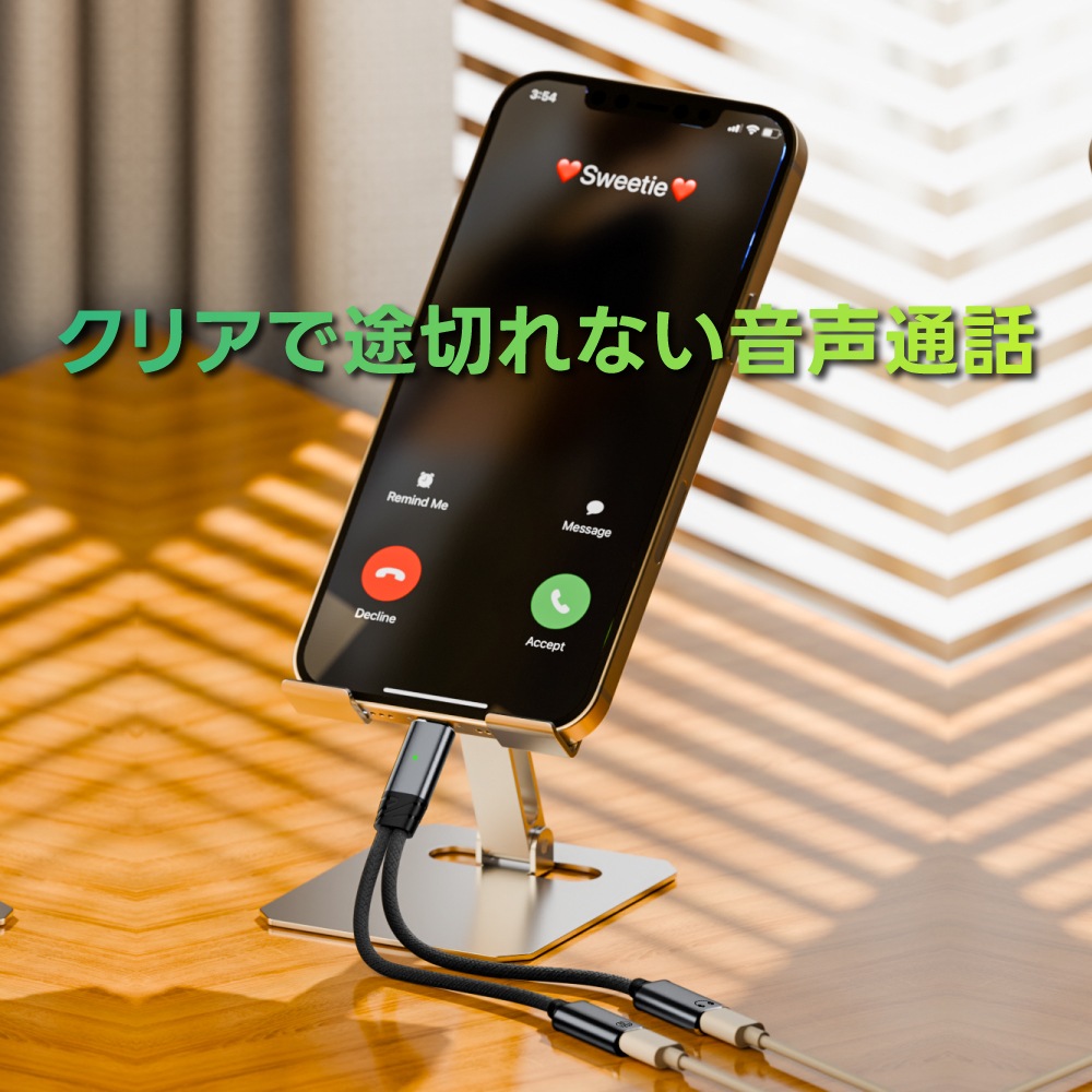 DAIAD Type-C to Type-C 2in1 イヤホン＆充電アダプター [PD 100W / 高音質DAC内蔵]