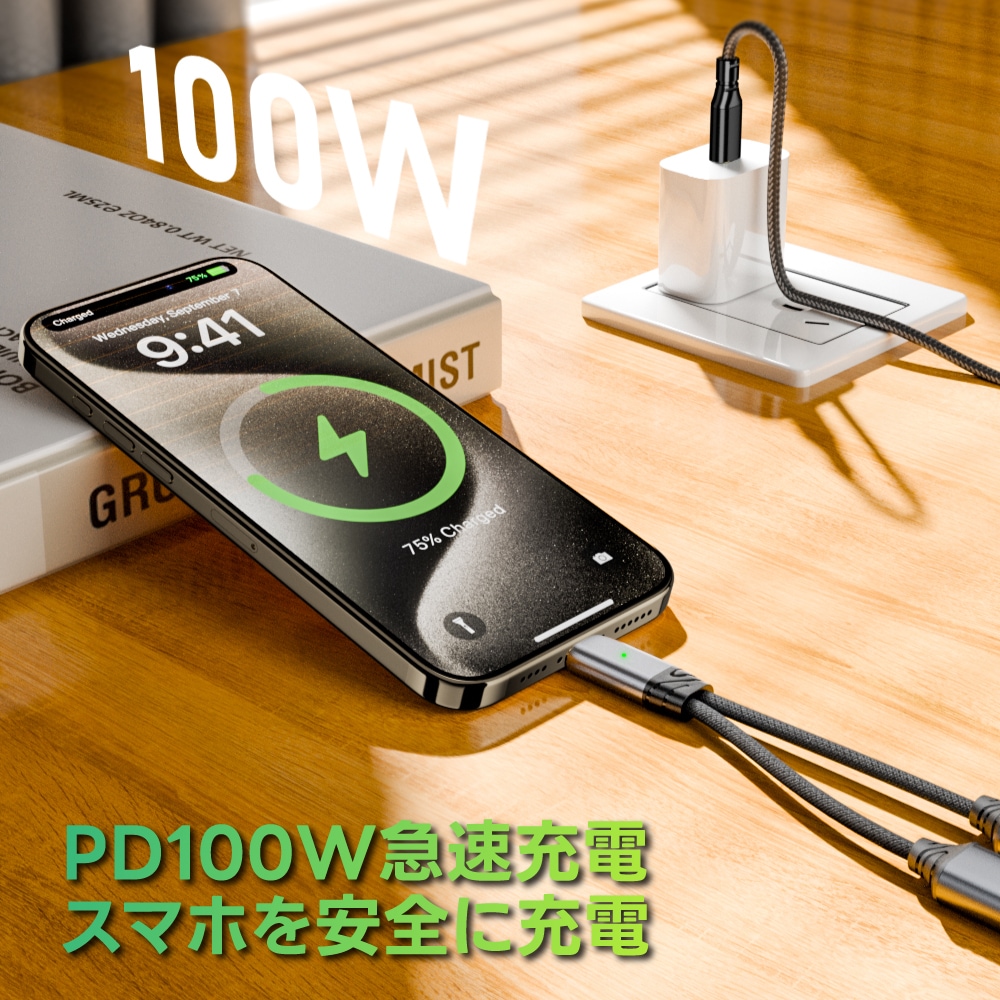 DAIAD Type-C to Type-C 2in1 イヤホン＆充電アダプター [PD 100W / 高音質DAC内蔵]