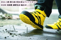 XEBEC ٥å 85208 췤 JSAA A ץˡ  Ƨȴɻ 4E 23cm30cm