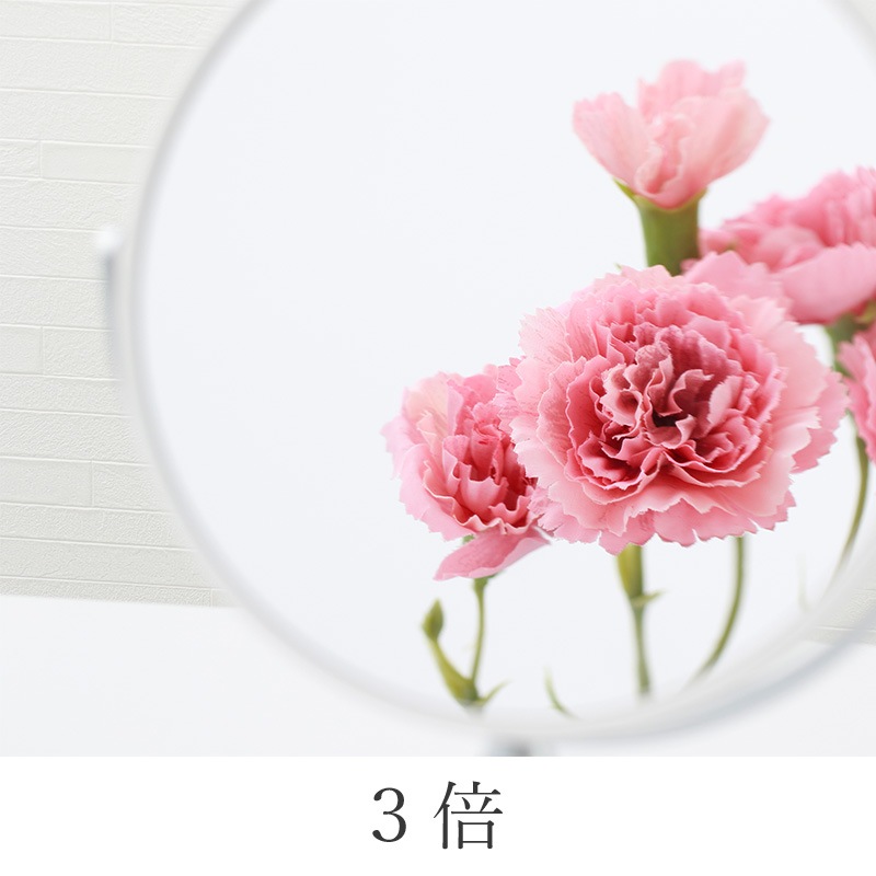 リフレックス スタンドミラーM M201-7 | すべての商品 | 大同