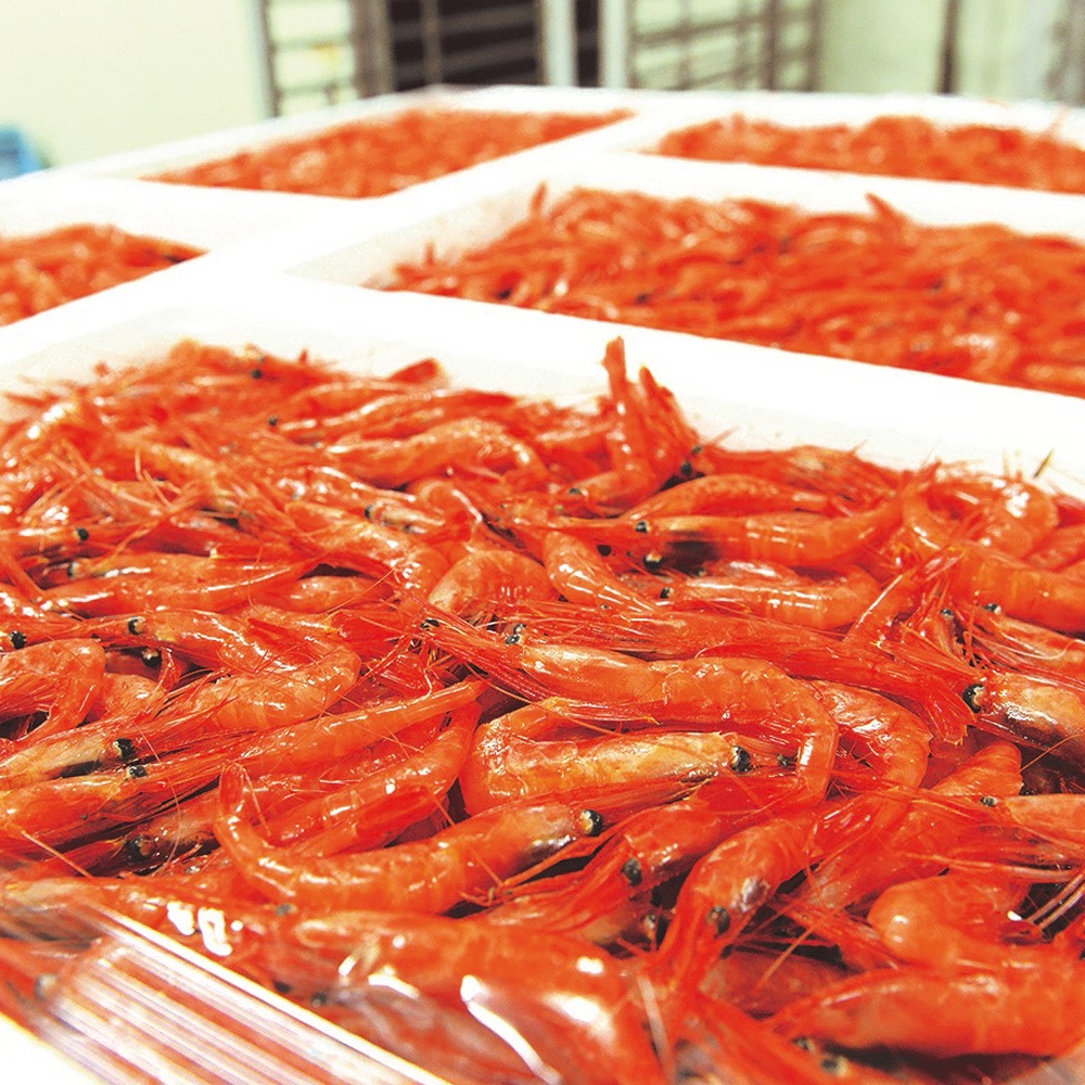 新潟県産南蛮海老（甘エビ）/300g×２ｐ