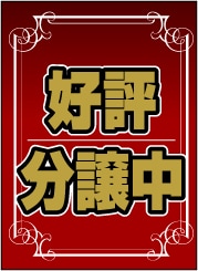 ペナント 既成デザイン16「好評分譲中」