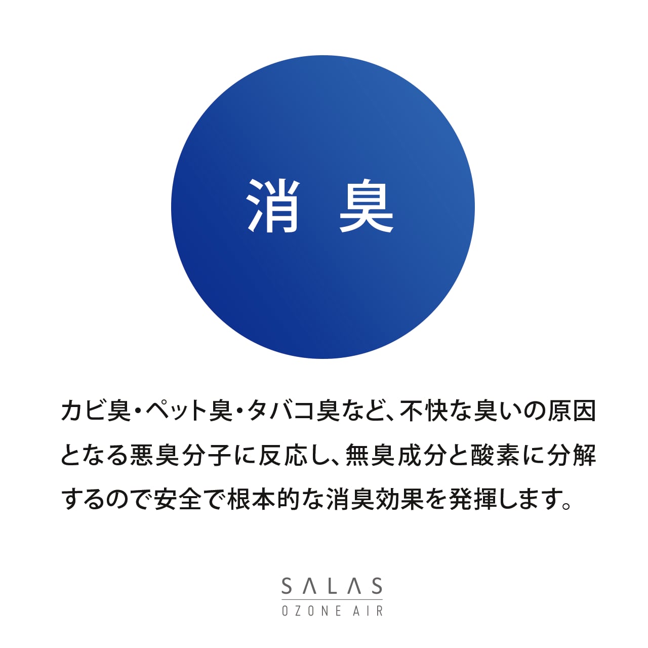 OZONE AIR SALAS／オゾンエアーサラス　SA-4【日常空間の除菌・消臭】