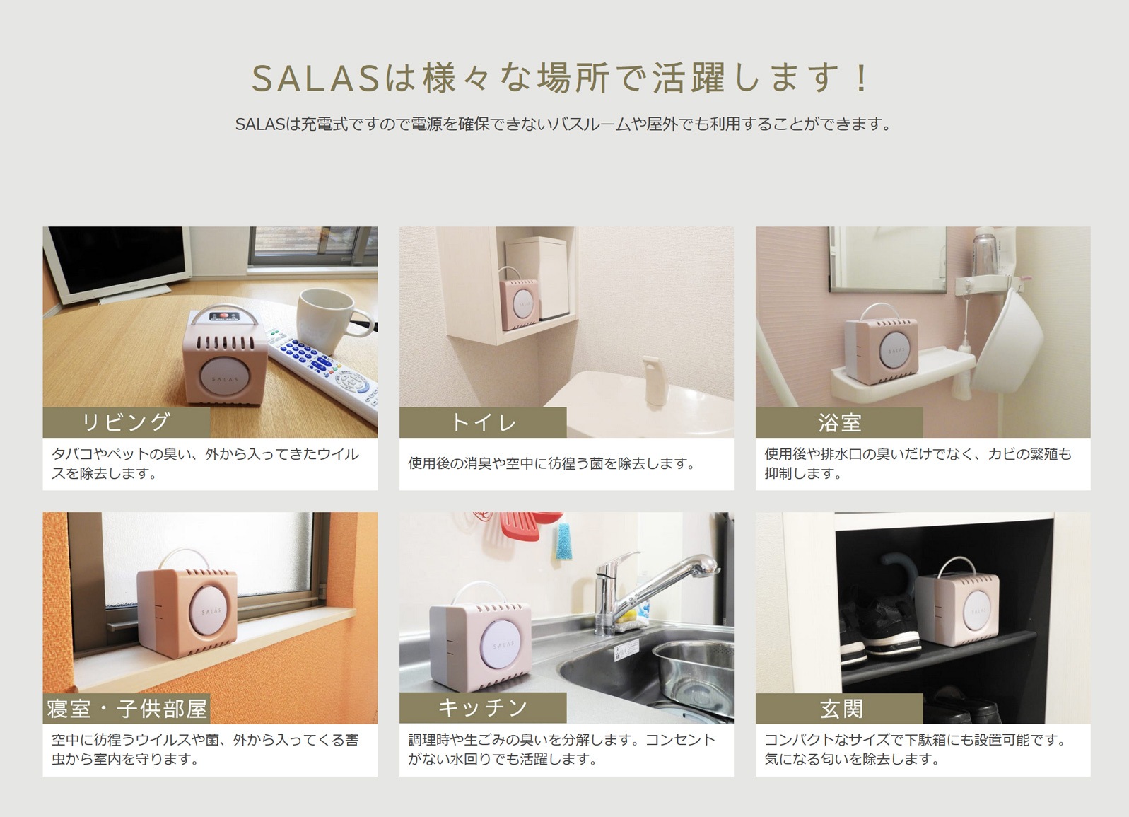 【オゾン発生器】SALAS（オゾンエアーサラス）【日常空間の除菌・消臭】