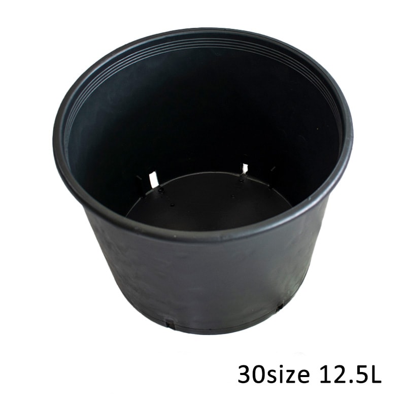 【RP30B】【10号】 ナーセリーポット30size-typeB