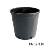 RP19】【6.5号】 ナーセリーポット19size | 一般のお客様向け | 大樹