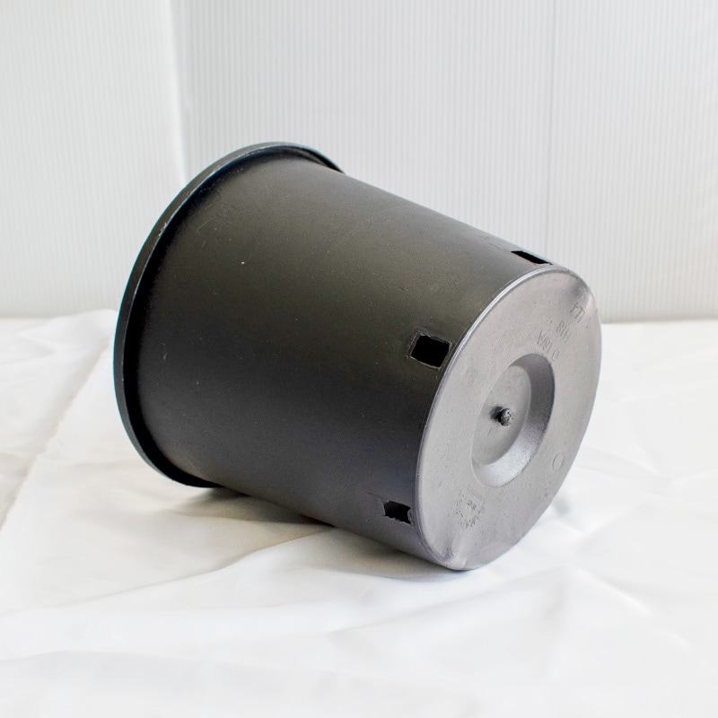 RP19】【6.5号】 ナーセリーポット19size | 一般のお客様向け | 大樹