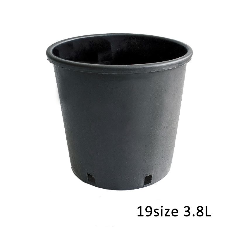 RP19】【6.5号】 ナーセリーポット19size | 一般のお客様向け | 大樹