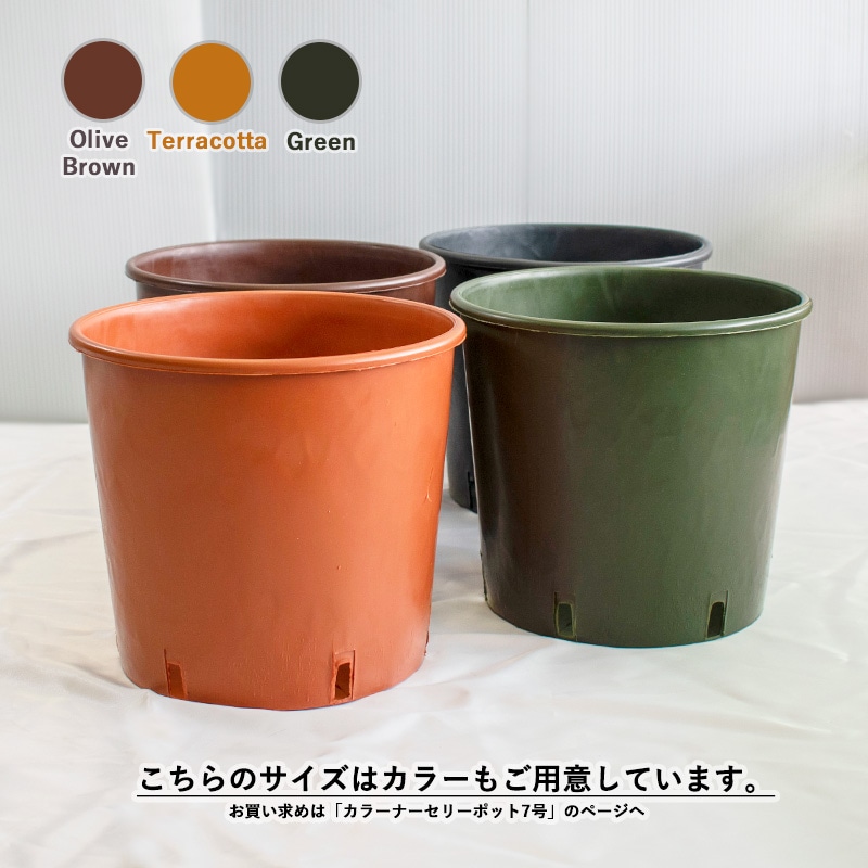 RP21】【7号】 ナーセリーポット21size | 一般のお客様向け | 大樹
