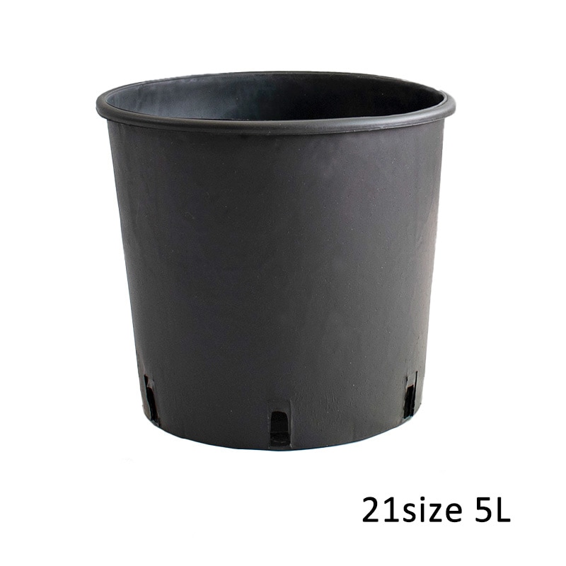 RP21】【7号】 ナーセリーポット21size | 一般のお客様向け | 大樹