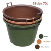 【GPN/TPN/OPN58】【19号】【選択】 カラーナーセリーポット58size