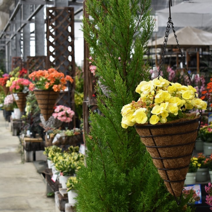 WBR08-25】【吊り下げ】 ココナッツハンギングバスケット(コーン型