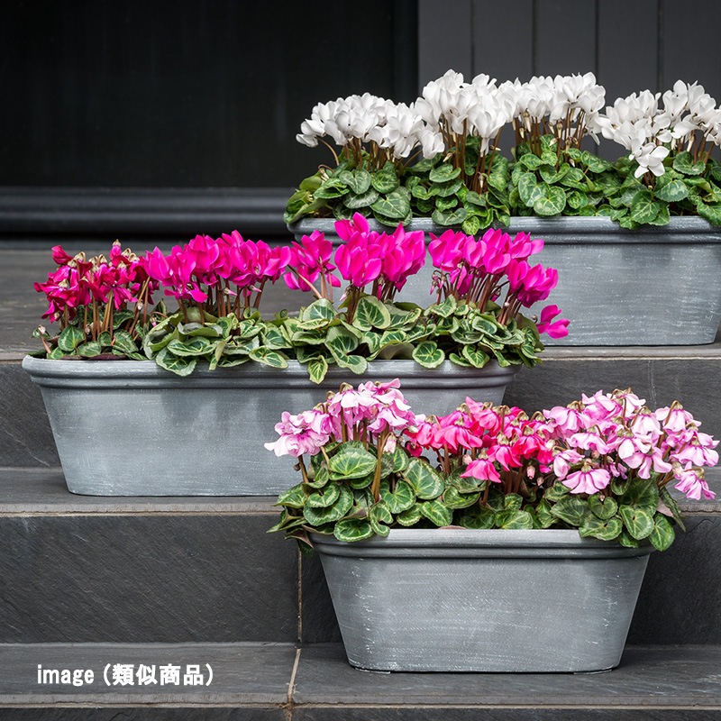 関東長火鉢 KT271 – 【火鉢専門通販ショップ】火鉢.shop 増田屋