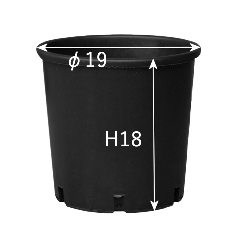 RP19】【6.5号】 ナーセリーポット19size | 一般のお客様向け | 大樹