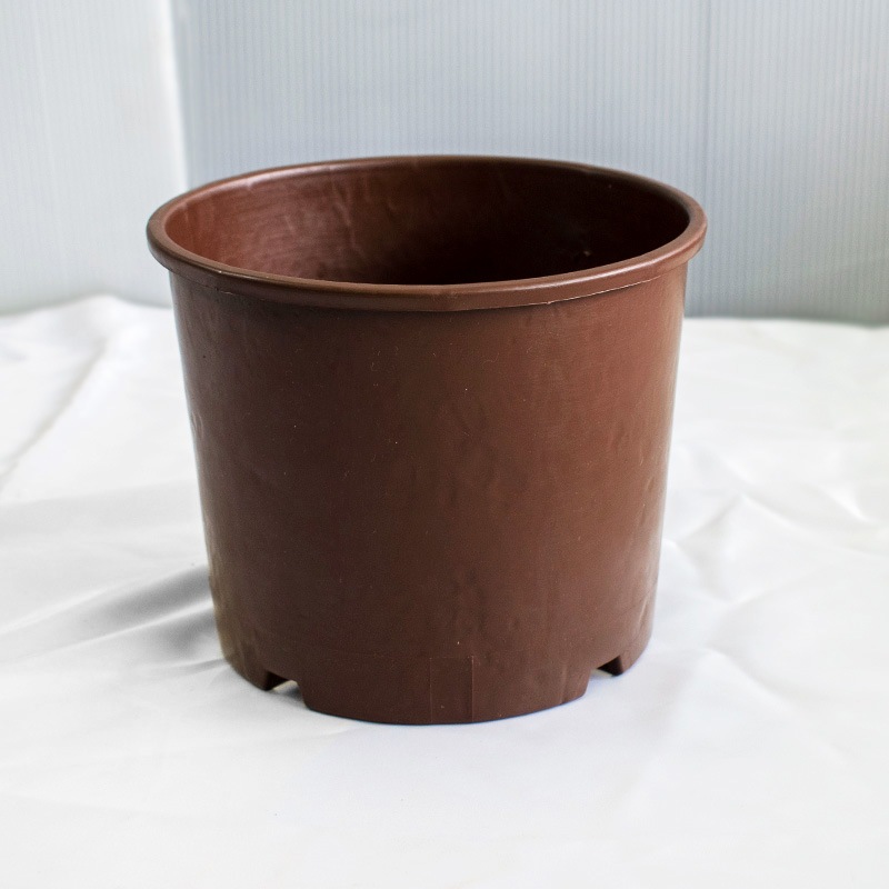 【GPN/TPN/OPN18】【6号】【選択】 カラーナーセリーポット18size