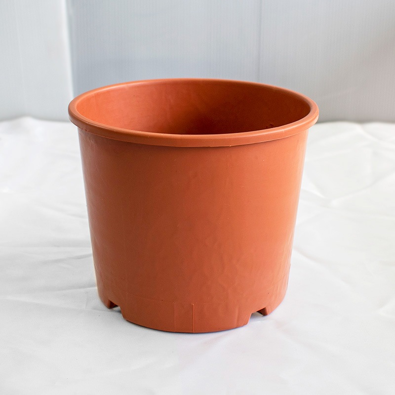 【GPN/TPN/OPN18】【6号】【選択】 カラーナーセリーポット18size