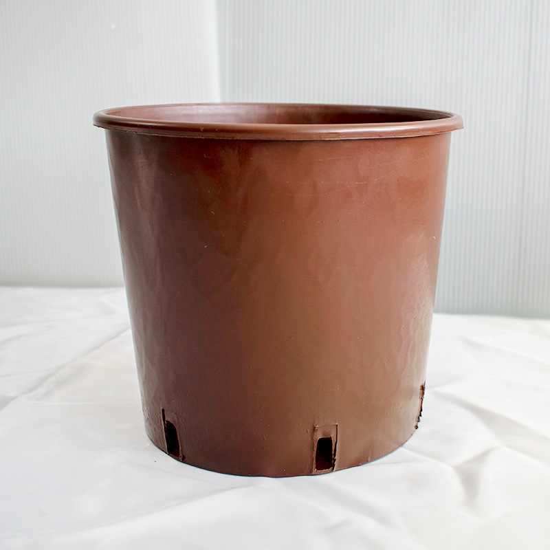 【GPN/TPN/OPN21】【7号】【選択】 カラーナーセリーポット21size