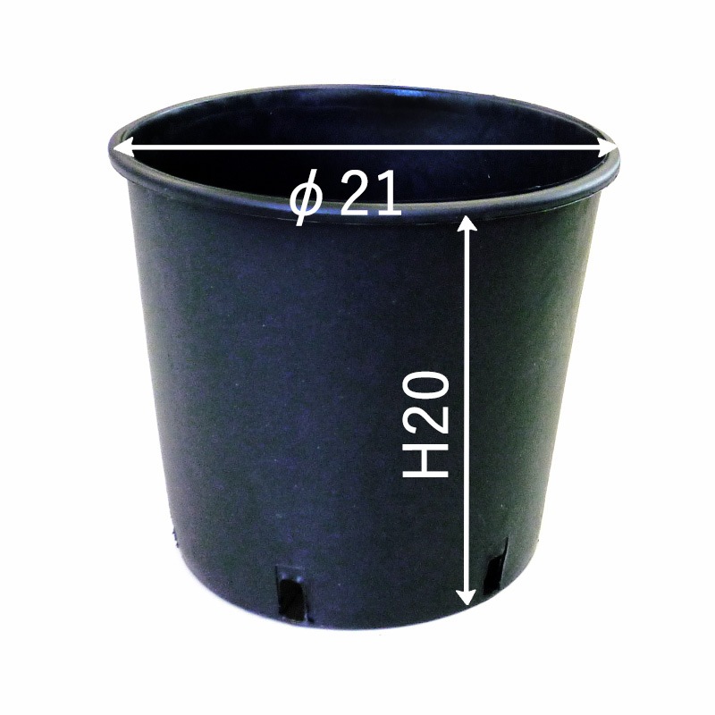 【GPN/TPN/OPN21】【7号】【選択】 カラーナーセリーポット21size