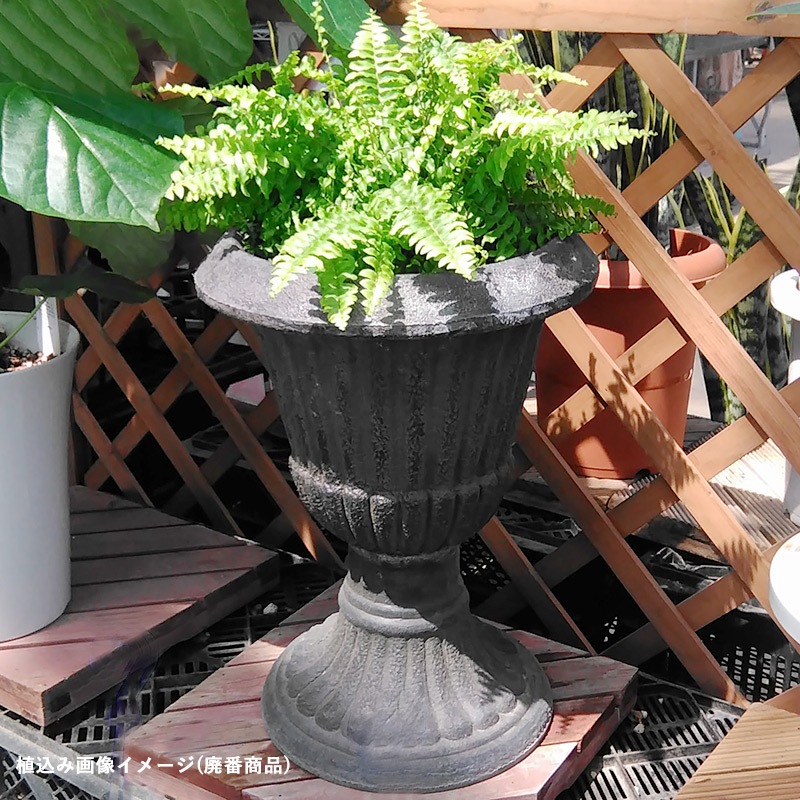 【AR6-01W】【コンポート】【フラワーポット】ホワイト・アンティーク調ハイカップ