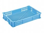 ����ץ饹���å����ȡ��ȥ졼����󥳥�ƥʡ�T-31���֥롼������28�̡���å������ܡ�